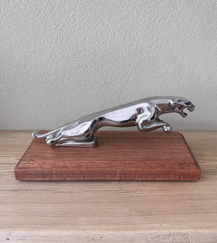 Original jaguar leaping - original,