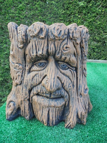 Tree trunk face - , garden