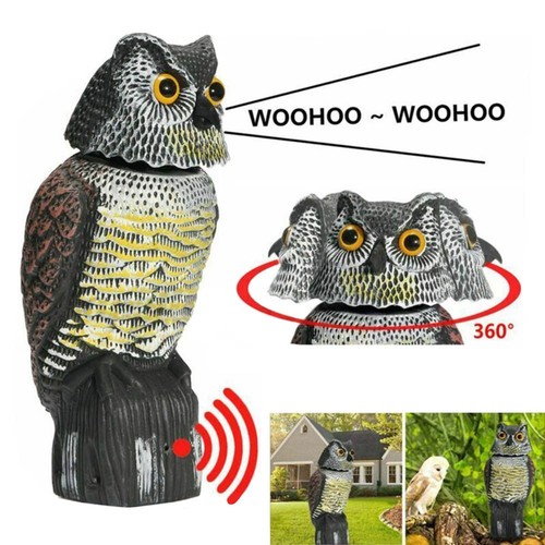 Large realistic owl decoy - large,