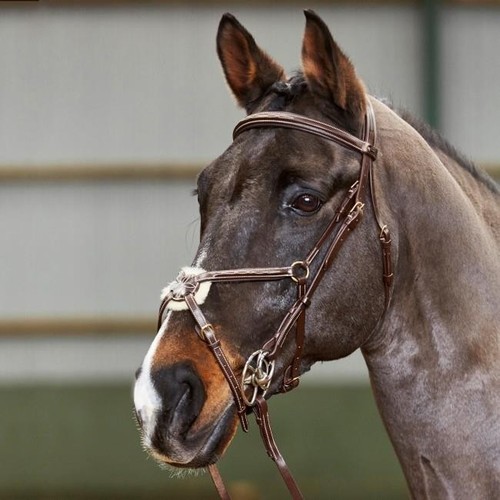 John whitaker valencia premium - whitaker,