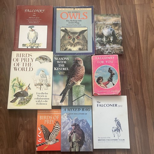 Vintage rare falconry birds - vintage,