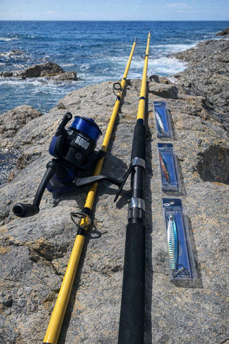 Sea fishing bass rod - rod, reel