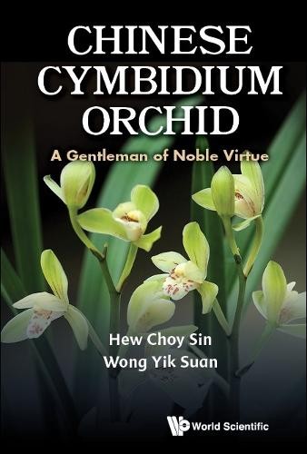Chinese cymbidium orchid a - chinese,