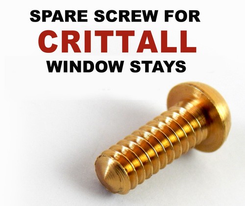 Spare fixing screw - screw, for