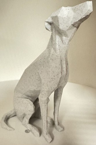 Whippet head tilt dog - head,