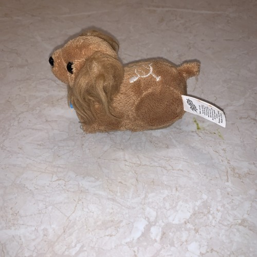 Zhu pets - dog, tested
