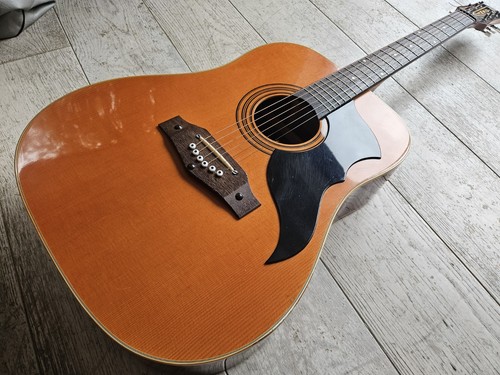 Eko ranger incredible - 6,
