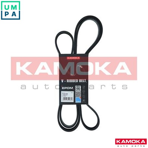 Vribbed belt 7016193 for - belt,