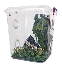 Praying Mantis,Stick Insect,Tall Arboreal Reptile,Cage,Tank,Enclosure.