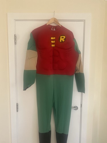 Halloween fancy dress robin - halloween,