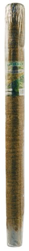 Moss pole covered plant - moss,