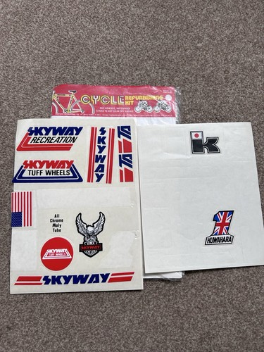 Vintage bmx skyway - 80’s,