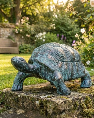 Elegant tortoise garden - elegant,