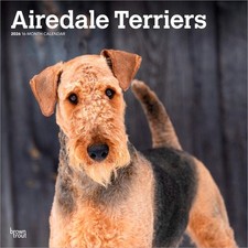 Airedale Terriers Calendar 2026 | Square 30cm x 30cm | 100% Plastic Free