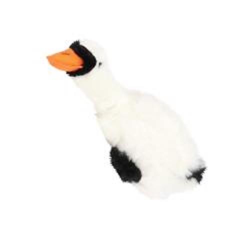 Migrator swan goose pheasant - migrator,