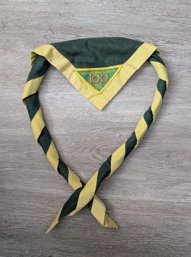 Scout youth necker - necker, scarf