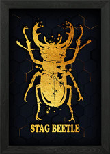 STAG BEETLE Framed Wall Art