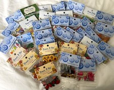 Dress It Up Buttons - AUTUMN FALL USA EASTER TROPICAL PARIS CELTIC *40 options*