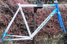 Raleigh Special Products (RSP)