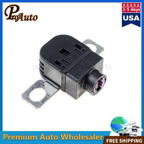 Battery disconnect fuse - battery,
