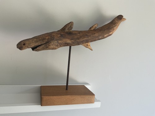 Mounted driftwood shark - mounted,