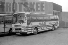 35mm Black and White Negative