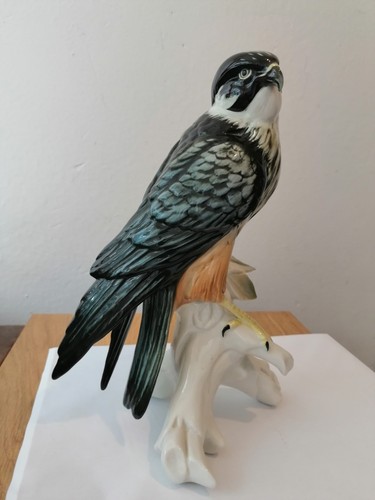 Karl ens peregrine falcon hand - ens,
