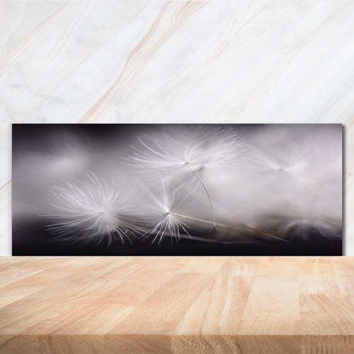 Kitchen glass splashback - kitchen,