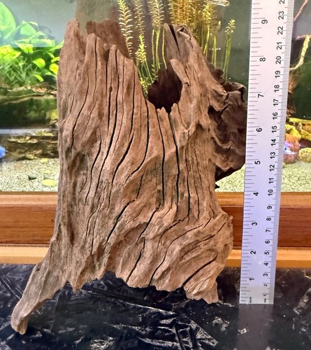 Natural aquarium driftwood - aquarium,