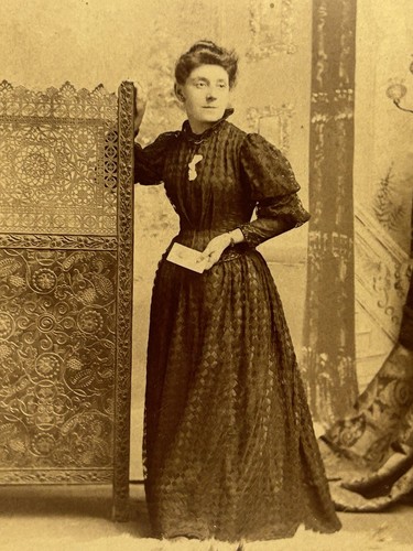 Cabinet card photo beautiful - cabinet,