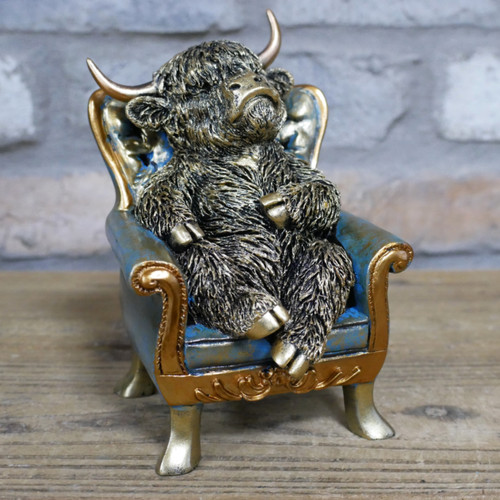 Small highland cow - on, chair