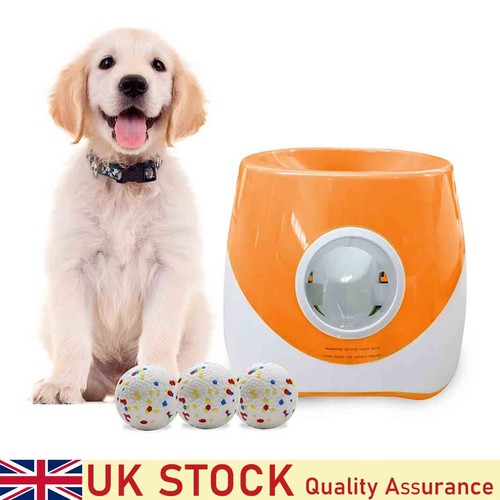 Dog pet automatic ball - pet,