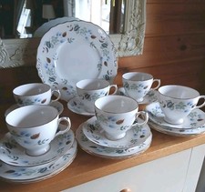 Colclough Linden 21 pc TEA SET