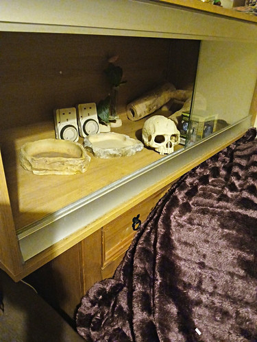 Glass front reptile - glass-front, vivarium