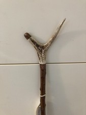 Red Deer Antler THUMB STICK