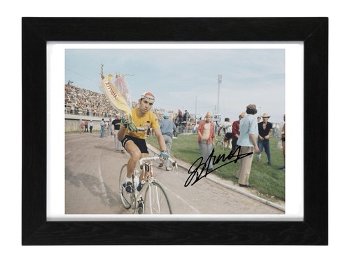 Eddy merckx signed - merckx, autograph