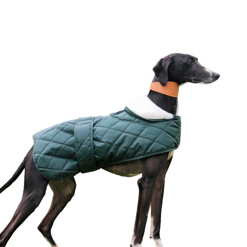 Ancol muddy paws quilted - ancol, green