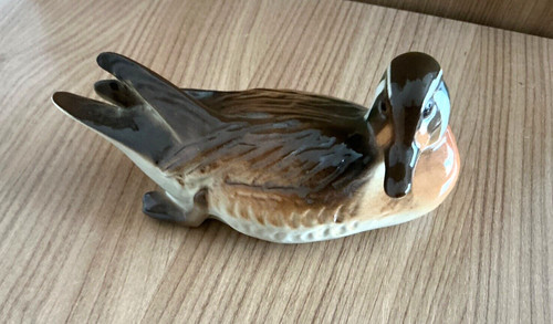 Lomonosov mandarin duck - lomonosov,