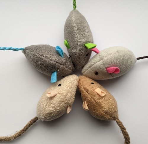 Catnip toys for cats - catnip, &