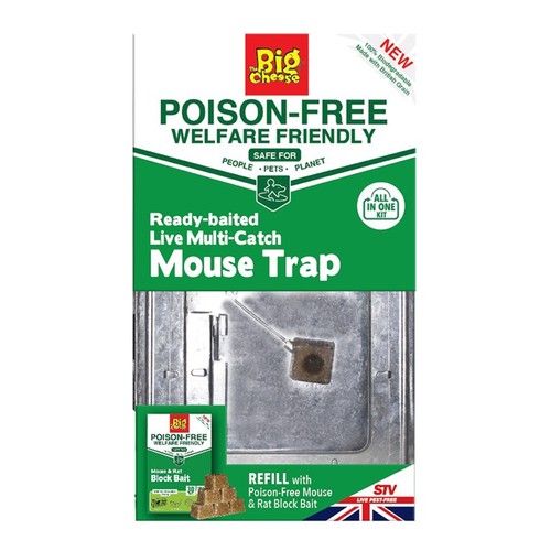 The big cheese poison free - poison,