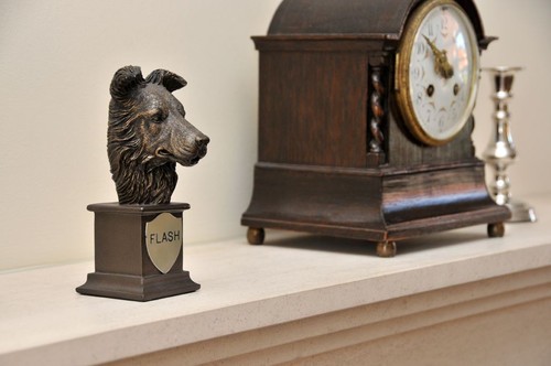 Border collie bronze - bronze, bust
