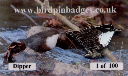 Dipper bird pin badge - bird,