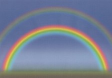 A4 Coloured Vellum Paper