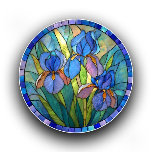Blue iris flower plant spring - blue,