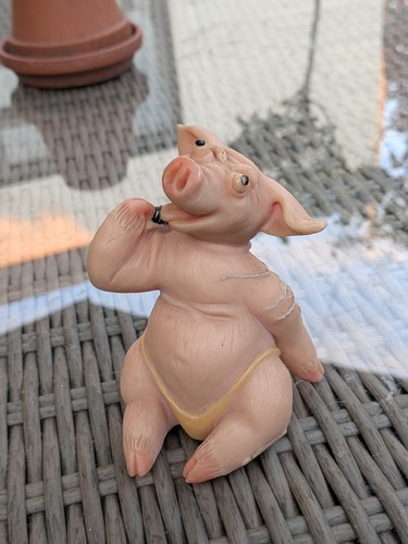 Leonardo pig collection - leonardo,
