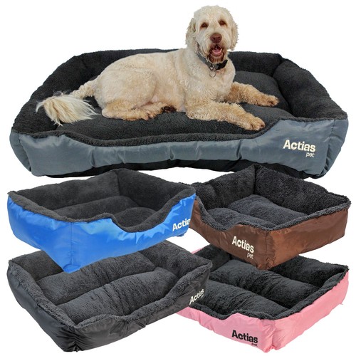 Pet dog bed cat - pet,