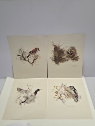 Mads stage bird - bird, set