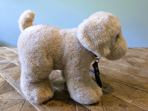 Keel golden labrador puppy dog - labrador,