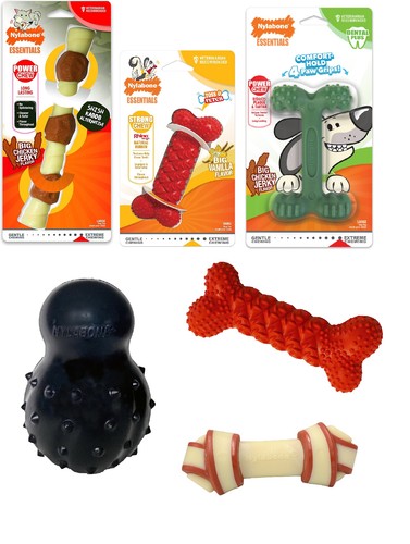 Nylabone dog toy - nylabone, chew
