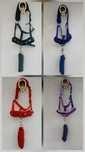 Headcollar lead with - headcollar, soft